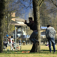 C' è chi corre e chi salta  di Gattaleo