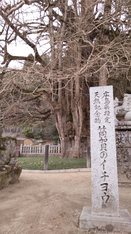オッティの加計・筒賀の大銀杏・戸河内・月ヶ瀬温泉・食パンに関するカスタム事例の投稿画像2枚目