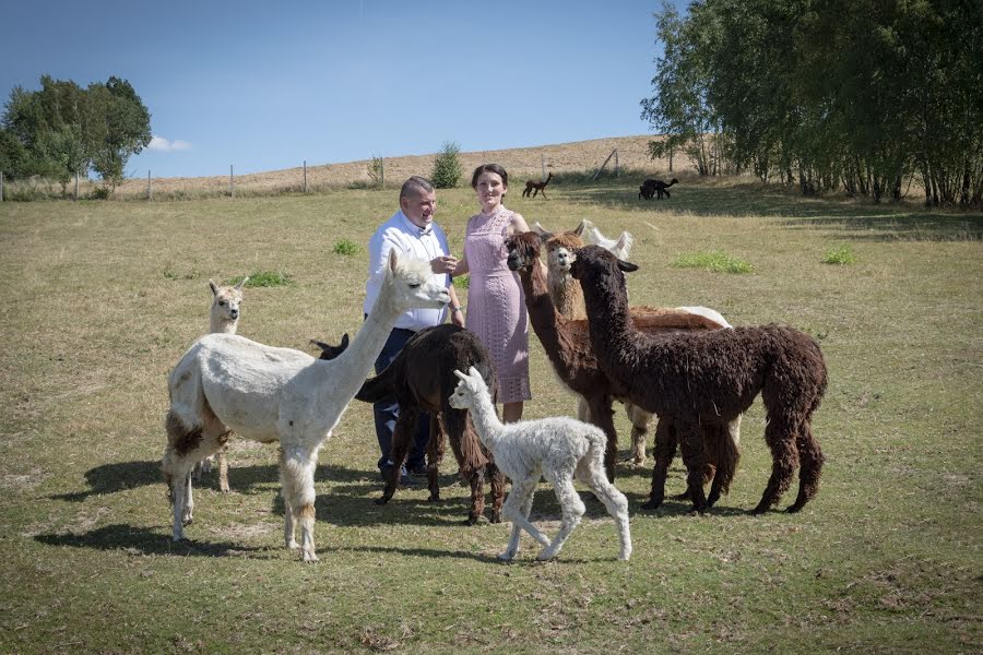 Fotograf ślubny Magdalena Mieńko (mienko). Zdjęcie z 23 kwietnia 2019