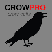 Crow Calls and Crow Sounds  Icon