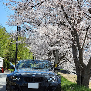 335i Cabriolet