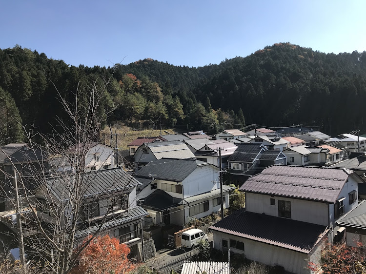 の投稿画像26枚目