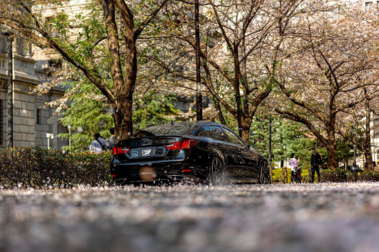 GSの桜・サクラと愛車・桜吹雪・葉桜・また来年に関するカスタム事例の投稿画像3枚目