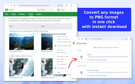 WebP to PNG Converter