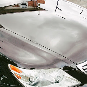 LS