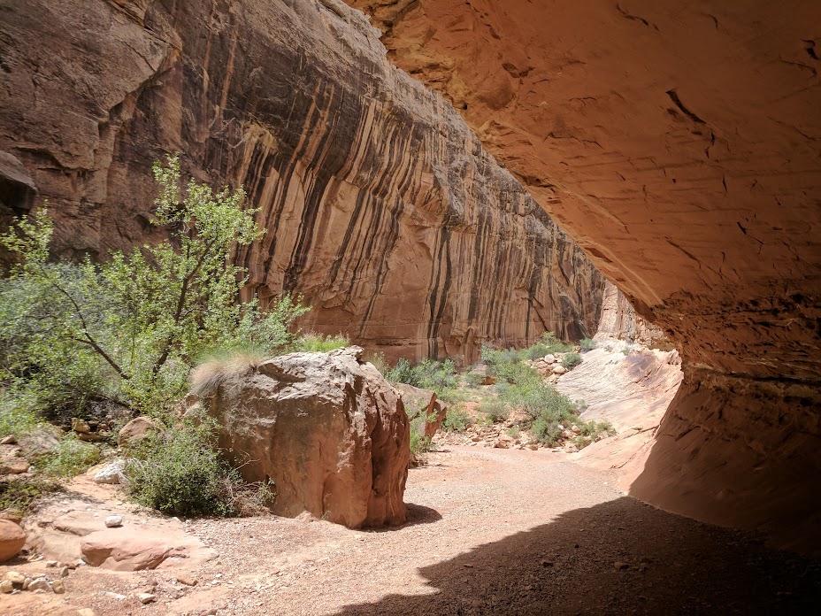 Grand Wash Trail - stayed dry