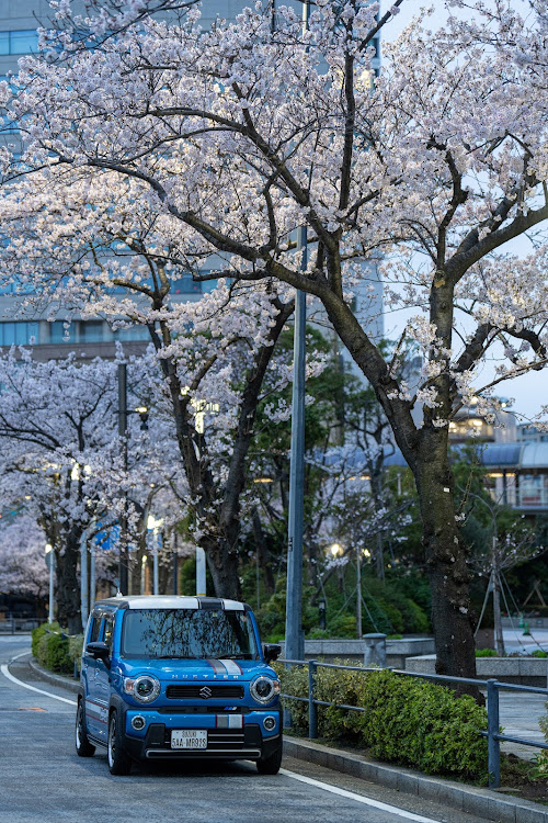 の投稿画像3枚目