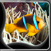 Underwater Live Wallpapers 1.5 Icon