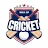 Cricket Live score icon