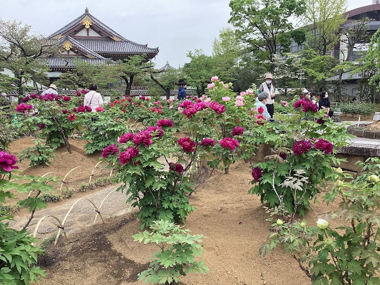 の投稿画像120枚目