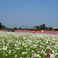 千樺花園餐廳