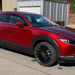 CX-30