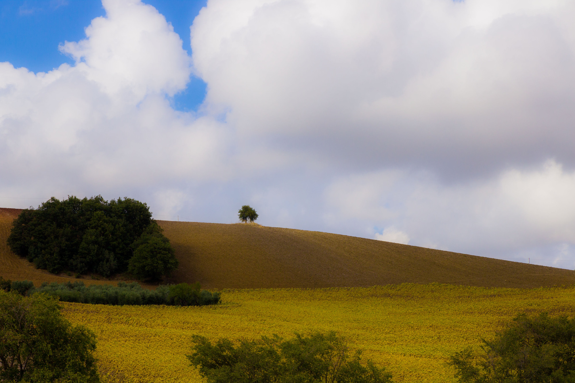 Collina molisana. di carlosanghez