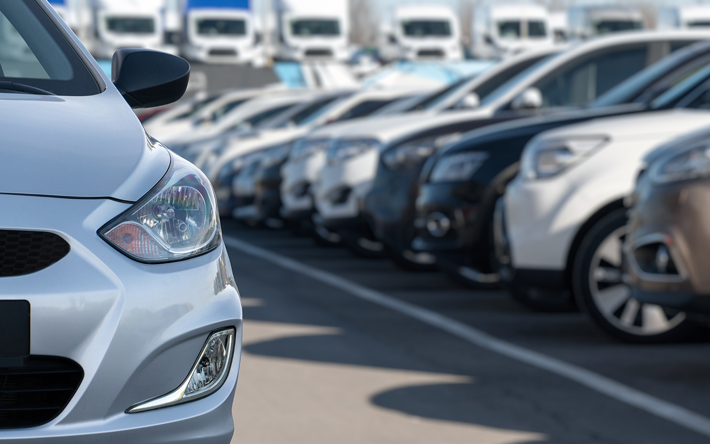 buying used cars in the UAE FAQs: used cars lined up 