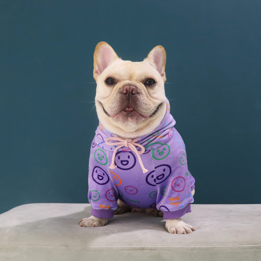 Title 4, Dog Spring and Autumn New Velvet Sweater, Law F...