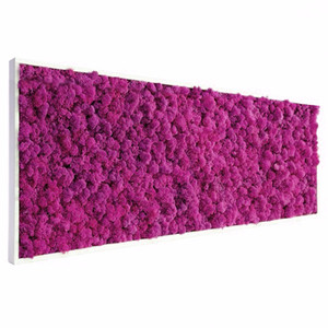 Tableau végétal stabilisé Lichen rose 120 x 80 cm