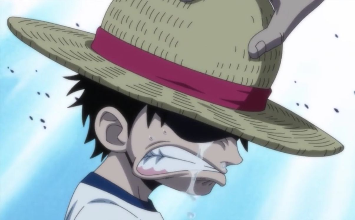 Monkey D. Luffy Straw Hat/Mugiwara and Gomu gomu no mi/Hito hito