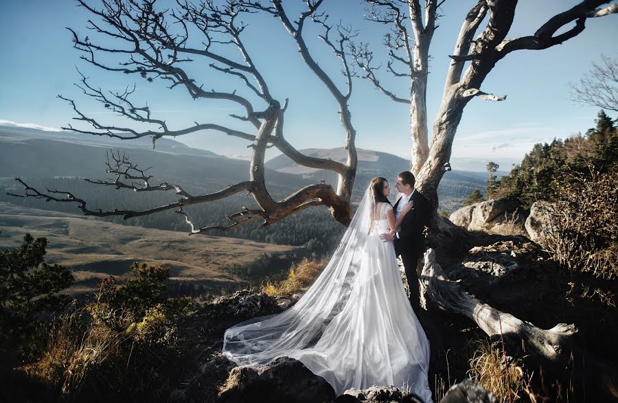 婚禮攝影師Karina Klochkova（karinak）。2015 12月3日的照片