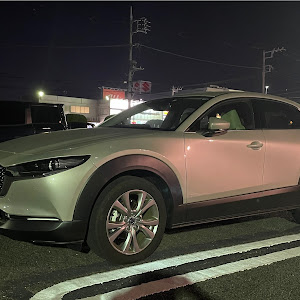 CX-30 DMEP