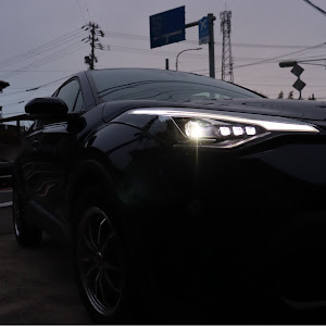 C-HR ZYX11