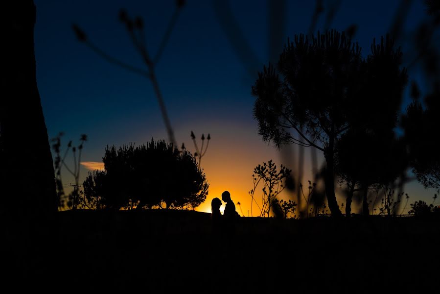 Fotografo di matrimoni Natalia Ng (nataliangestudi). Foto del 13 giugno 2016