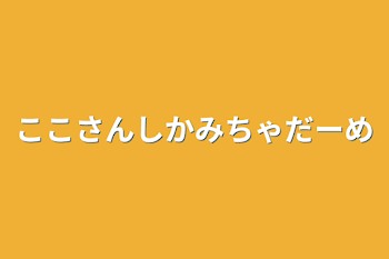 ここさんしかみちゃだーめ