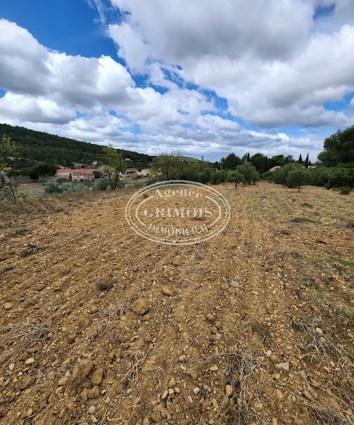 Vente terrain  2518 m² à Thézan-des-Corbières (11200), 158 000 €