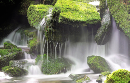 Moss waterfall small promo image