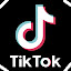 Tiktok For PC - New Tab Background