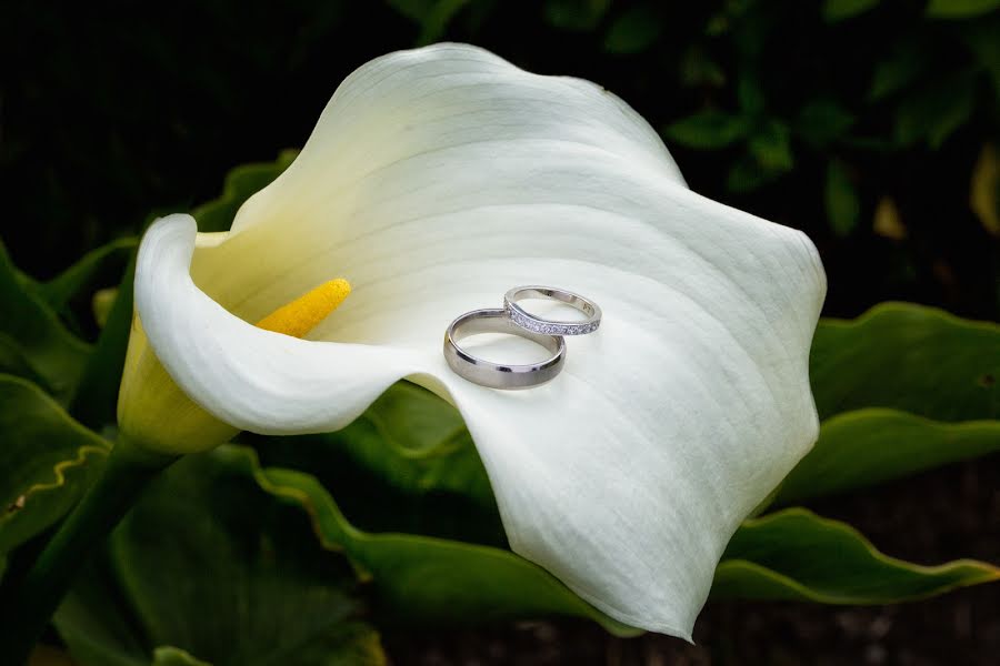 Fotógrafo de bodas David Duignan (djdphoto). Foto del 6 de julio 2016