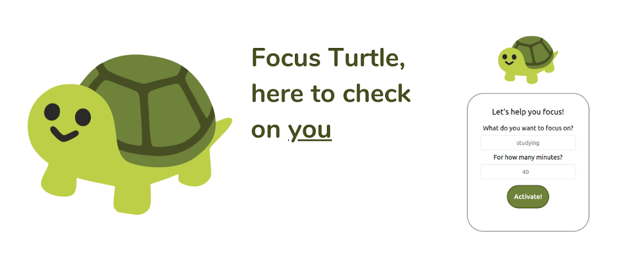 Focus Turtle Preview image 1