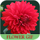 Download Flower Gifs For PC Windows and Mac 1.00.00
