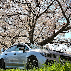 WRX STI VAB