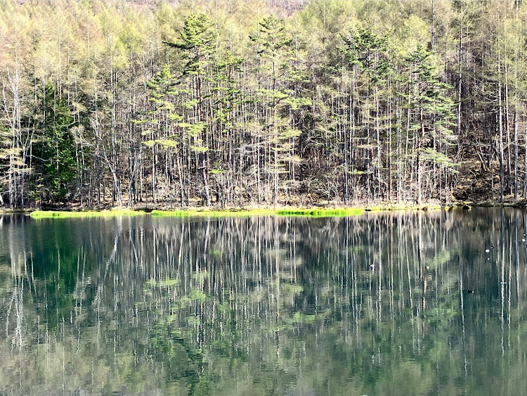 の投稿画像4枚目