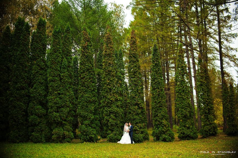 Wedding photographer Stanislav Pislegin (sts00). Photo of 13 April 2014