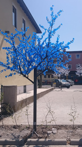 Blue Trees