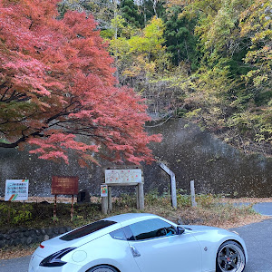 フェアレディZ Z34