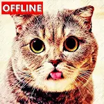 Cat Sounds Apk