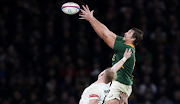 Eben Etzebeth of SA beats England's David Ribbans to the ball in a line out during the Autumn International clash at Twickenham last November. 