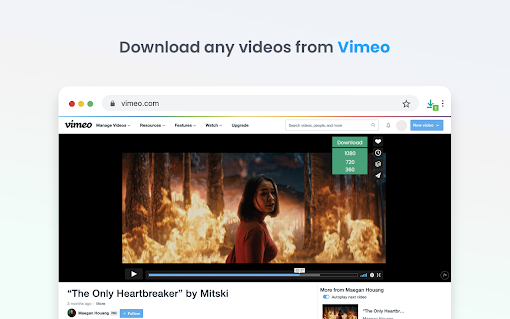 Video Downloader professional