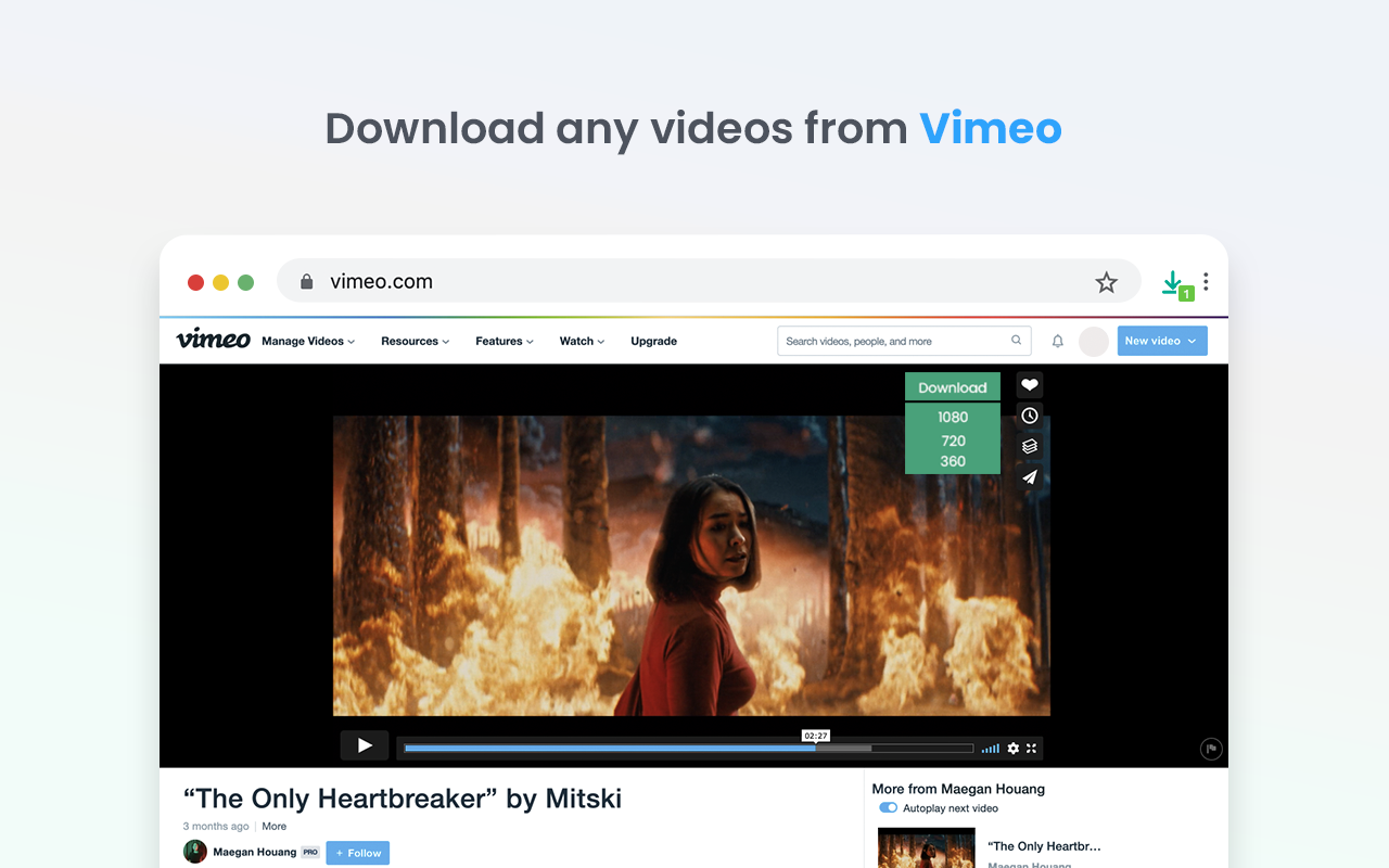 Video Downloader professional Preview image 5