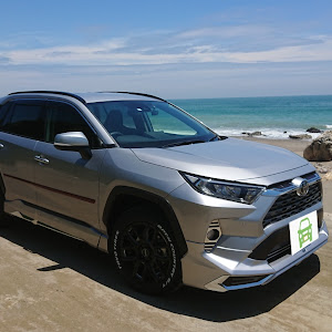 RAV4 MXAA54