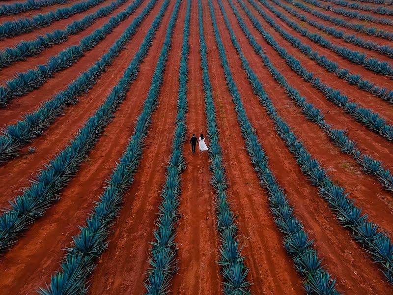 Vestuvių fotografas José Angel Gutiérrez (joseangelg). Nuotrauka 2020 liepos 28