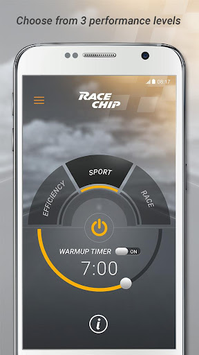 RaceChip