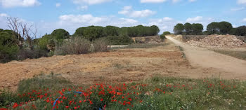 terrain à Marcorignan (11)