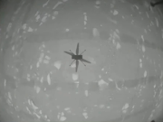 The shadow of NASA's Mars helicopter Ingenuity is seen during its first flight on the planet in this still image taken from a video on April 19 2021. 
