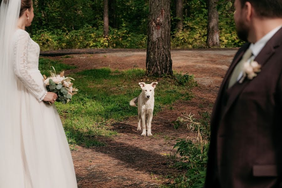 Wedding photographer Denis Kalinkin (deniskalinkin). Photo of 21 October 2020