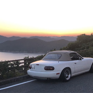 ロードスター NA8C