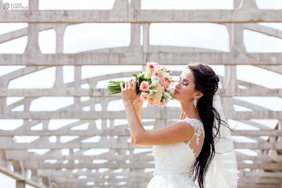 Photographe de mariage Elena Shaptala (elenashaptala). Photo du 10 novembre 2016