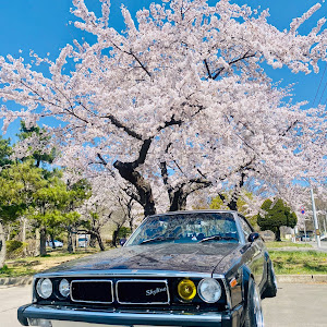 スカイライン C210